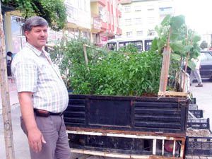 Pikabını sebze bahçesi yaptı
