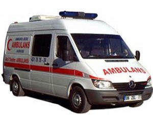 Ağaçtan düşen çoban öldü