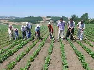 Çiftçiler yeni sektör binasına kavuştu