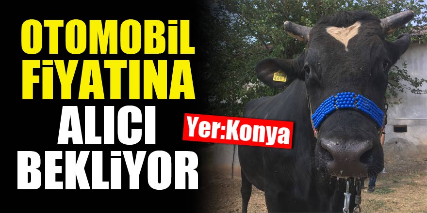 Otomobil fiyatına alıcı bekliyor