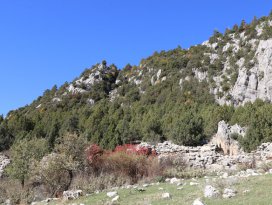 Selçuklu dönemine ait üç eser literatüre kazandırıldı