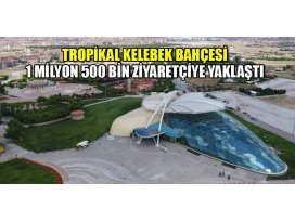 Tropikal Kelebek Bahçesi 1 milyon 500 bin ziyaretçiye yaklaştı