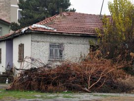 Av tüfeğiyle vurularak öldürüldü