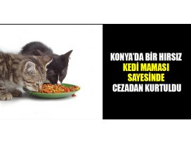 Sokak kedilerine mama yardımıyla cezadan kurtuldu