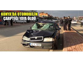 Konyada otomobilin çarptığı yaya öldü