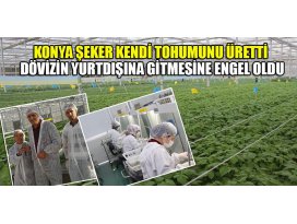Konya Şeker Kendi Tohumunu Üretti,Milyonlarca Liralık Dövizin Yurtdışına Gitmesine Engel Oldu