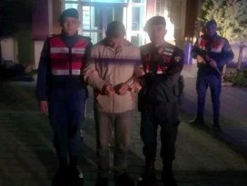 Konyada kiralık otomobille koyun çalan şüphelisi tutuklandı