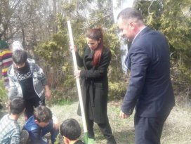 Millet kıraathanesi bahçesinde fidanlar toprakla buluştu