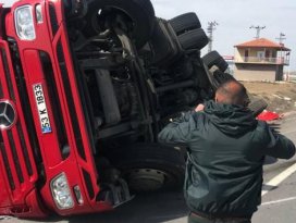 Köpeğe çarpmamak için manevra yapan tır devrildi