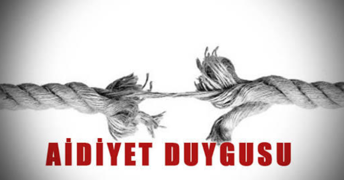 Aidiyet Duygusu, Sahiplenme