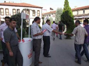 Ak Partili gençler evet için çalışıyor