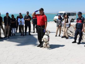 Jandarma teşkilatının gözbebeği eğitimli köpekler hayran bıraktı