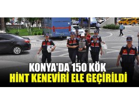 Konyada 150 kök Hint keneviri ele geçirildi