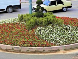 Ereğli’de kavşak ve refüjler çiçeklerle donatılıyor