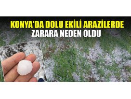 Konyada dolu ekili arazilerde zarara neden oldu