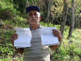 40 yıl önce diktiği kavak ağaçlarına, orman arazisi diye el konuldu