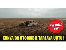 Konyada otomobil tarlaya uçtu: Yaralılar var
