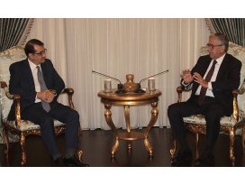 Bakan Dönmez: Doğal kaynaklar, barışa katkı sağlayacak bir etkendir