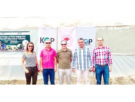 Domates güvesine karşı büyük başarı