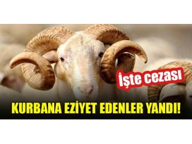 Kurbana eziyet edenler yandı! İşte cezası
