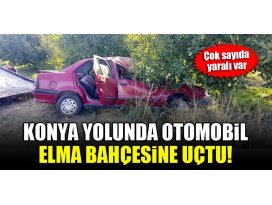 Konya yolunda otomobil elma bahçesine uçtu! Çok sayıda yaralı var