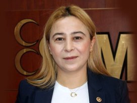 Esin Kara kazalarla ilgili araştırma önergesi verdi