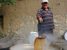Konyada bağ bozumu