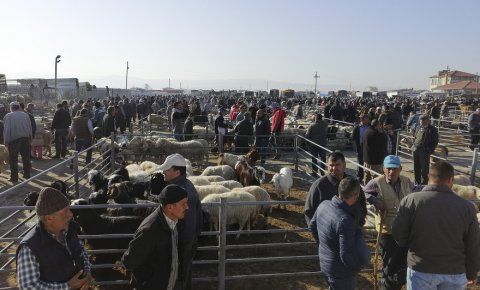 Ilgında hayvan pazarındaki veba karantinası sona erdi
