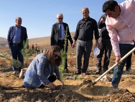 Hüyükten ağaçlandırma seferberliğine 20 bin fidanla destek