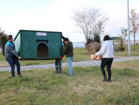 Beyşehirde sokak köpeklerine evler yapıldı