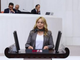 Esin Kara’dan veterinerler için soru önergesi