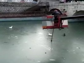Suda ayakları donan kazları itfaiye kurtardı
