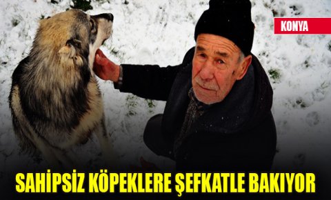 Konyada 77 yaşındaki Eyüp Nizam sahipsiz köpeklere şefkatle bakıyor