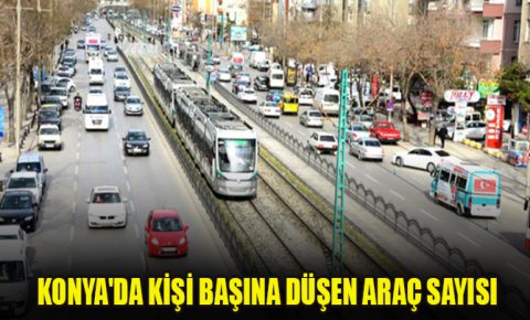 Konyada yüz kişiye 32 araç düşüyor