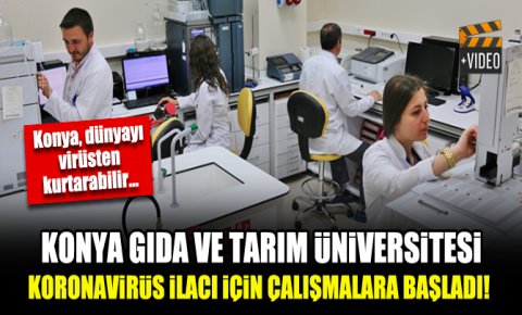 Konya Gıda ve Tarım Üniversitesi koronavirüs ilacı için çalışmalara başladı!