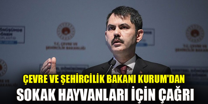 Çevre ve Şehircilik Bakanı Kurumdan sokak hayvanları için çağrı