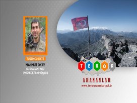 Muşta 1 milyon TL ödülle aranan terörist yakalandı