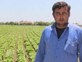 4 çeşit marul üreten Konyalı çiftçinin yeni hedefi