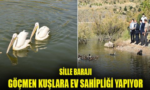 Sille Barajı göçmen kuşlara ev sahipliği yapıyor