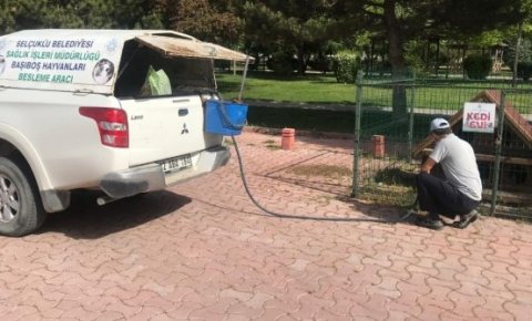 Selçuklu’da sokak hayvanları unutulmuyor
