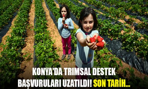 Konyada trımsal destek başvuruları uzatıldı! Son tarih...