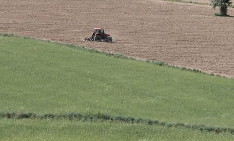 Hazineye ait tarım arazileri topraksız ve yeterli toprağı olmayan çiftçilere kiralanacak