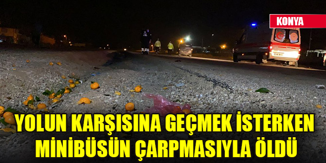 Yolun karşısına geçmek isterken minibüsün çarpmasıyla öldü