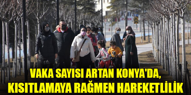 Vaka sayısı artan Konyada, kısıtlamaya rağmen hareketlilik