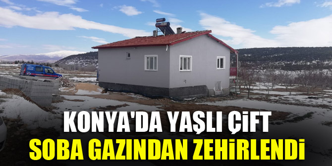 Konyada yaşlı çift, soba gazından zehirlendi