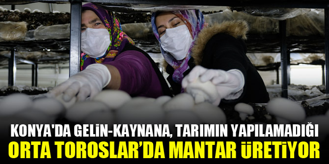 Konyada gelin-kaynana, tarımın yapılamadığı Orta Toroslar’da mantar üretiyor