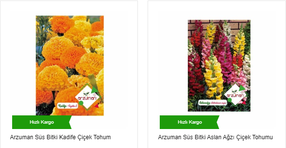 Çiçek Tohumu