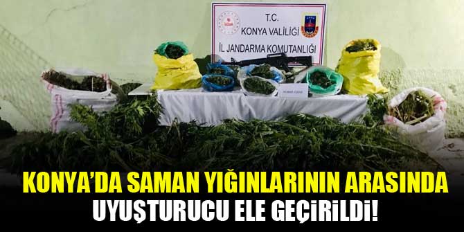 Yüksek sesle müzik dinleyenleri uyaran kişi silah ve bıçakla yaralandı!