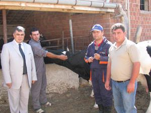 Ereğlide şap aşı kampanyası başladı