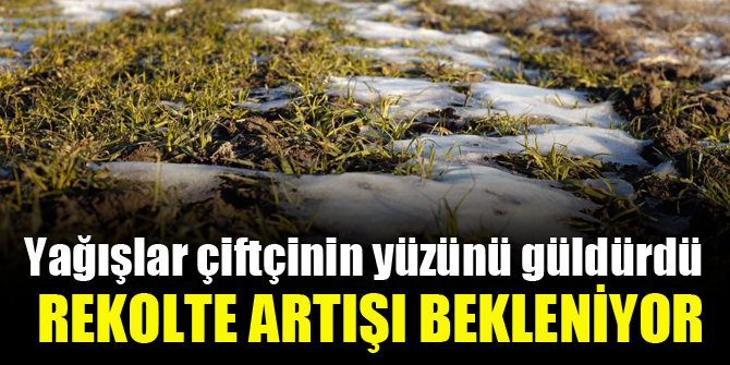 Yağışlar yüz güldürüyor, rekolte artışı bekleniyor